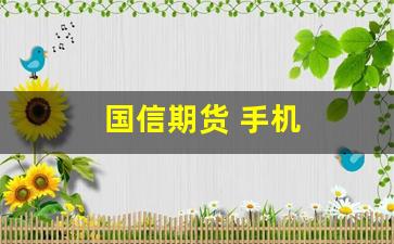 国信期货 手机(国信期货手机软件下载)_https://www.wguangz.com_广期所_第1张